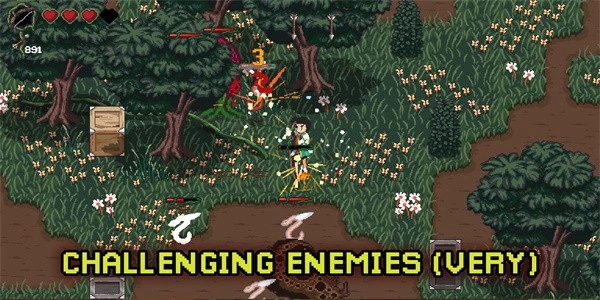 深入萨莫莫镇(2)