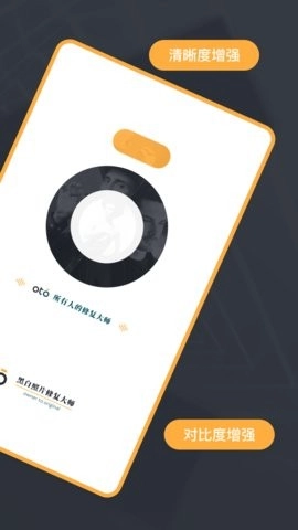 黑白照片修复大师OTO图3