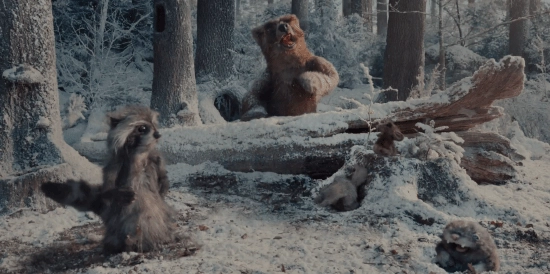 苹果2025假日短片由iPhone17Pro全程拍摄，库克为其点赞