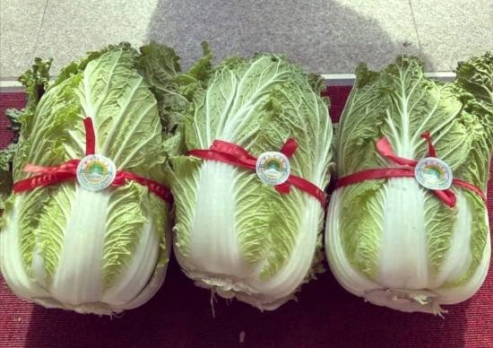 央视揭露套牌菜：155元一棵的高价白菜，竟和9毛一斤的普通白菜是同一种？