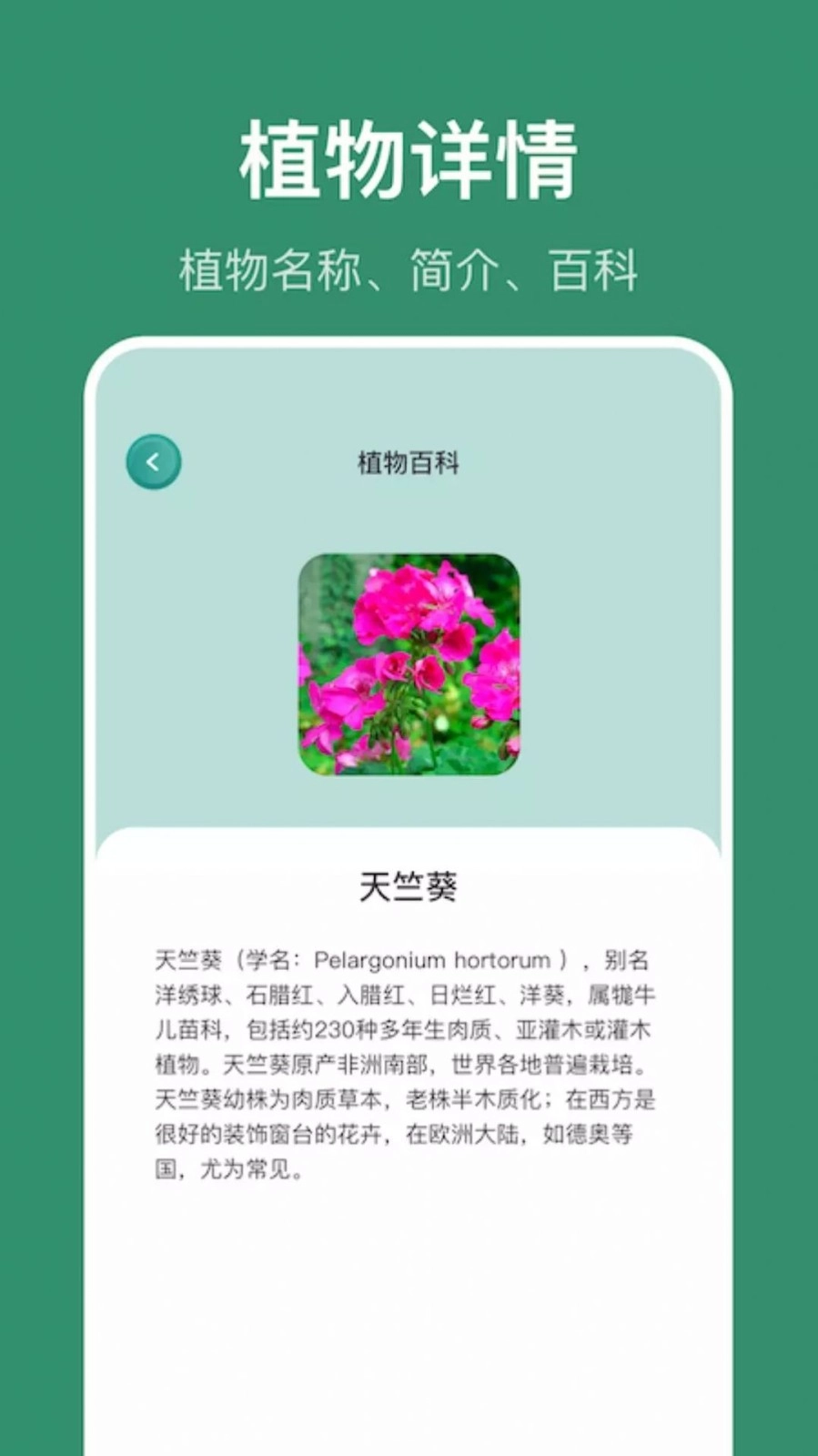 小黄养花植物识别安卓版图4