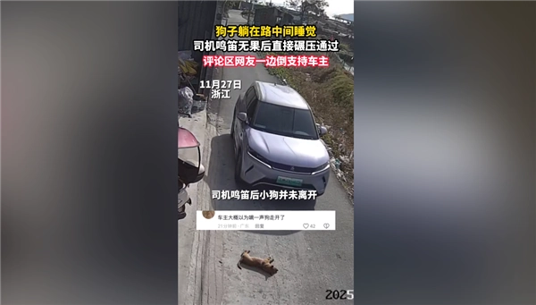 狗在马路中央酣睡，司机鸣笛无果后选择碾压，网友热议：究竟是否需要承担责任
