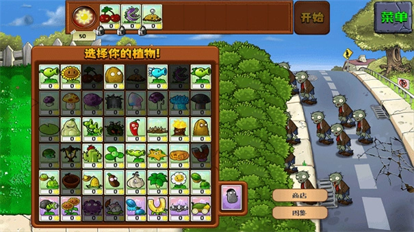 植物大战僵尸高清版(2)