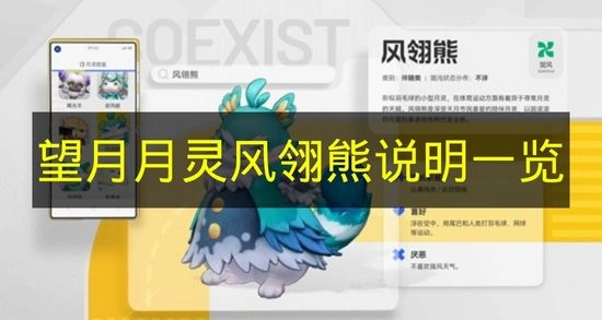 《望月》月灵风翎熊详情介绍