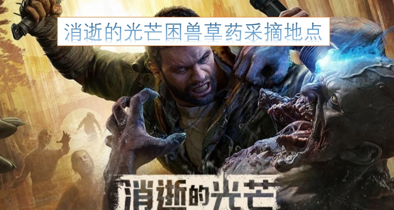 《消逝的光芒》困兽任务中可采摘草药的位置