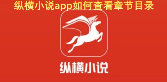 在纵横小说app里怎么查看章节目录呢