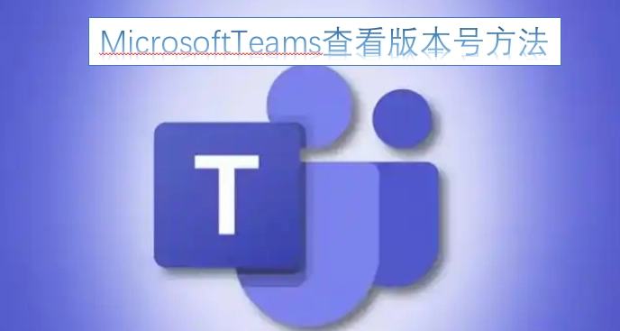 查看MicrosoftTeams版本号的方法