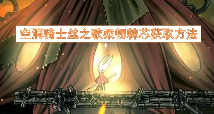空洞骑士丝之歌中柔韧棘芯的获取途径