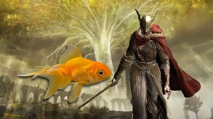 1真神消逝，那条曾战胜《黄金树幽影》最终BOSS的金鱼离世了