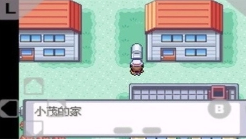 口袋妖怪火红(2)