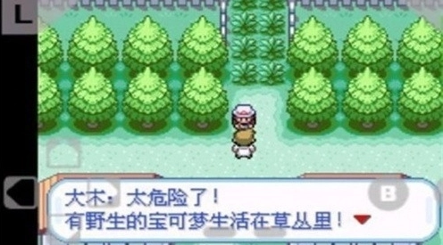 口袋妖怪火红(3)