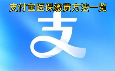 支付宝医保缴费的详细操作指南