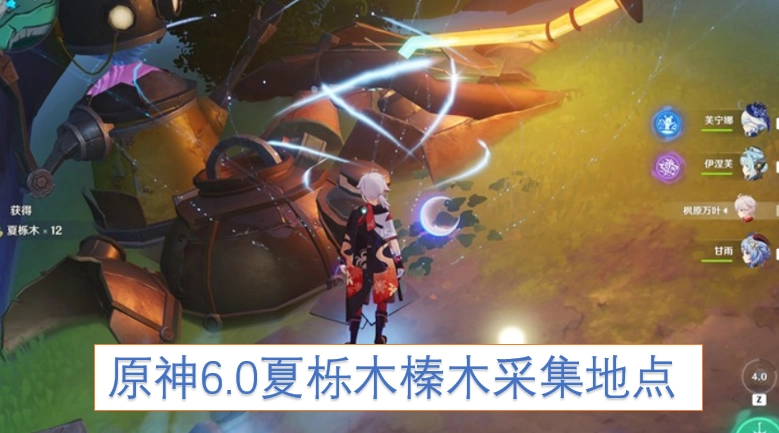 原神6.0版本夏栎木与榛木的采集位置指南