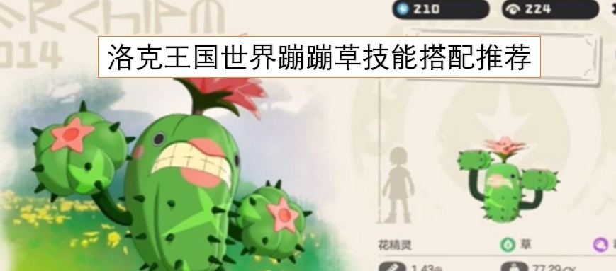 洛克王国世界蹦蹦草的技能搭配建议