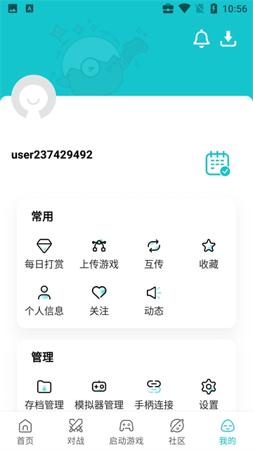 小鸡模拟器(1)