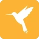 黄鸟抓包免费版