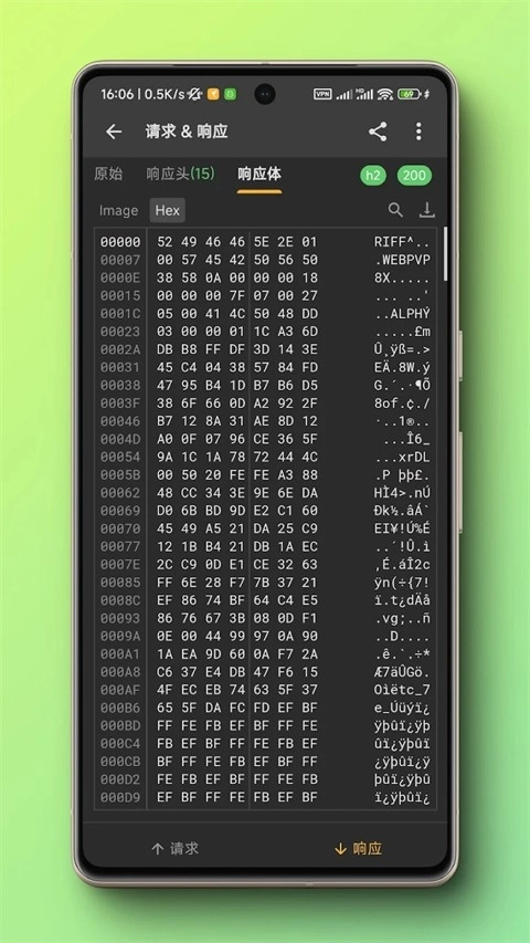黄鸟抓包免费版