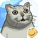 大千世界手机版