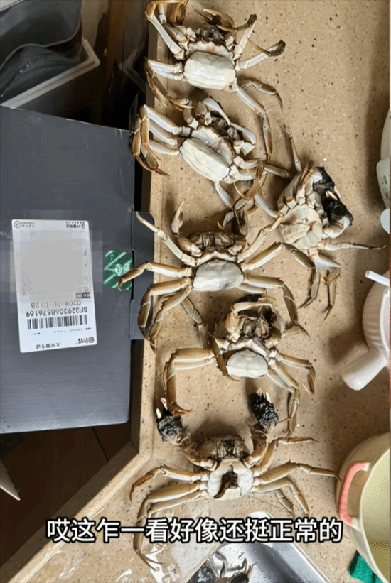 顾客用AI合成死螃蟹图片要求退款，被行拘8日，195元全额追回