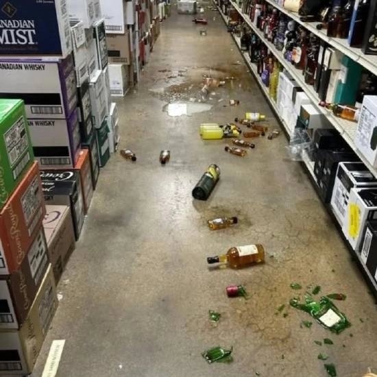 这是“火箭”本熊吗？美国一只浣熊闯入酒铺偷喝烈酒，结果醉倒在卫生间