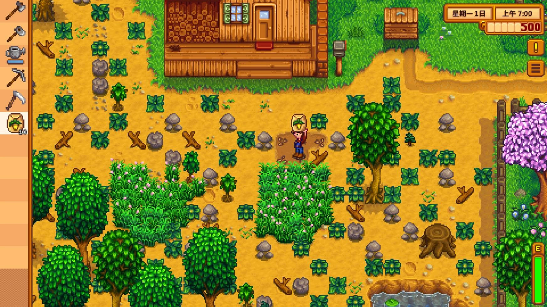 星露谷物语联机版