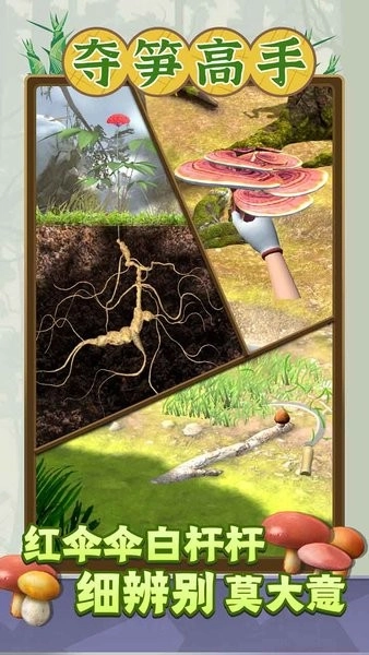 夺笋高手官方最新版图3