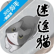 迷途猫