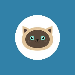 简便电视浏览器 V1.5.0