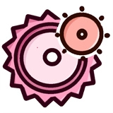 齿轮辅助安卓版