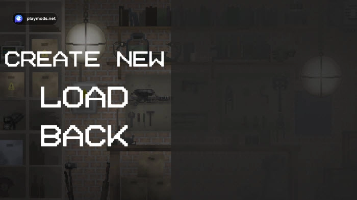 甜瓜游乐场playmods(2)