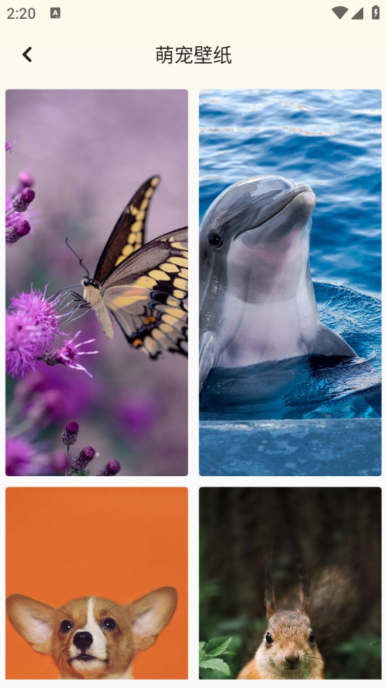 百变换壁纸手机最新版图1