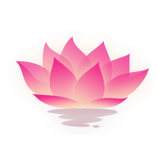 荷花工具箱 V1.0.0