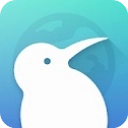 Kiwi Browser浏览器最新版