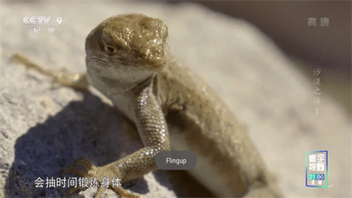 星火电视升级版图2