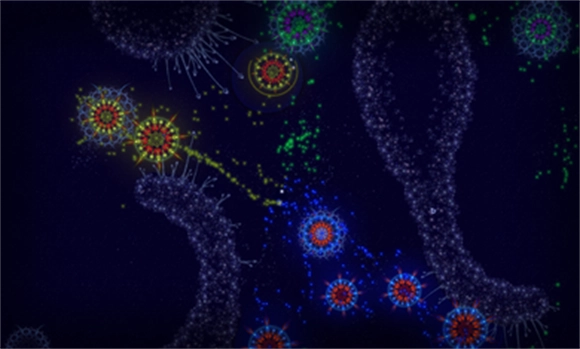 微生物模拟器游戏安装包图3
