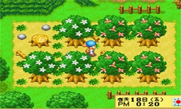 牧场物语精灵驿站图1