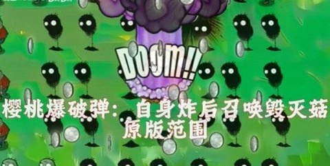 植物大战僵尸风韵版