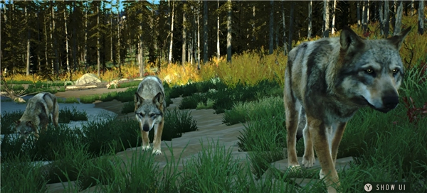 狩猎之道中文版