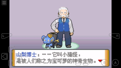 口袋妖怪冥泣重制版