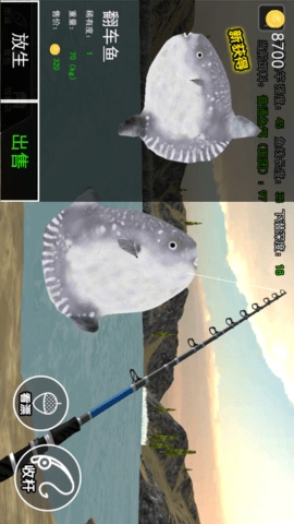 钓鱼模拟3D