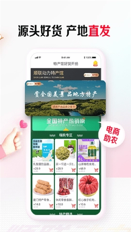 顺联动力商城图3