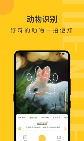 拍照识物图3