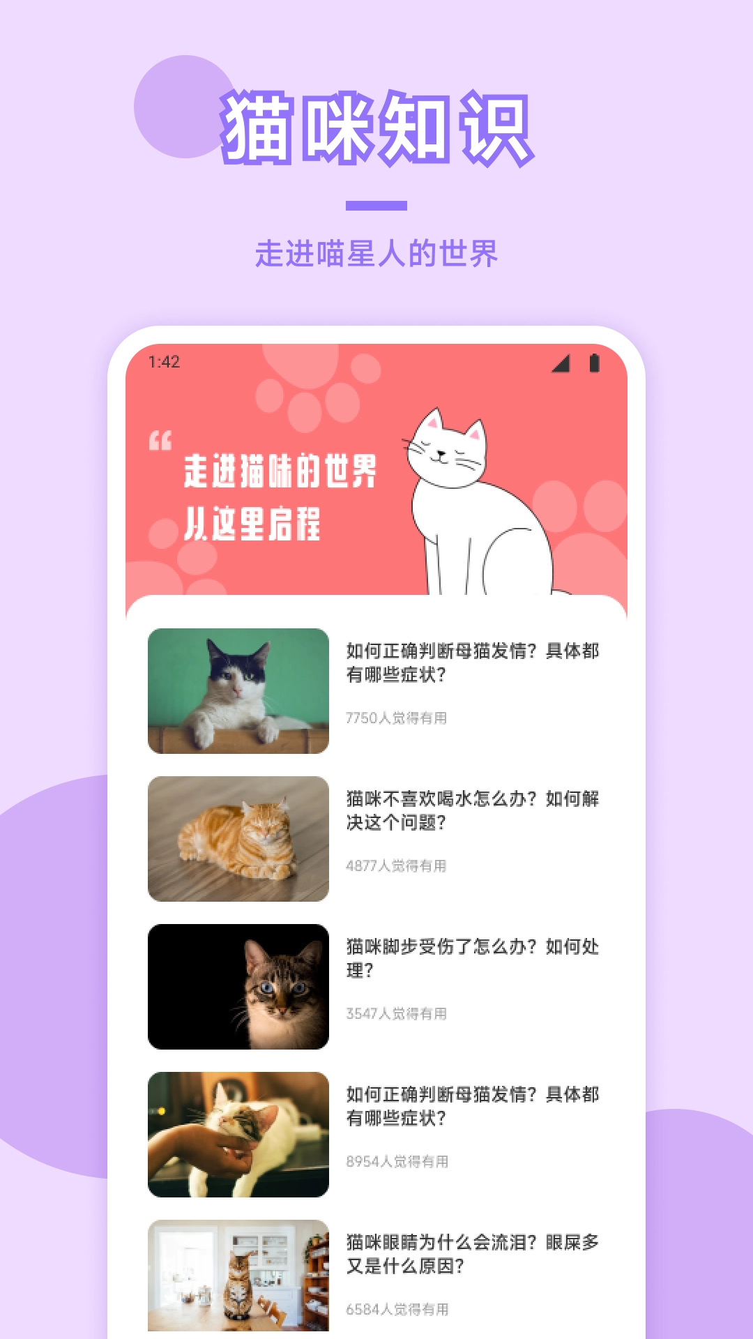 猫咪社区直装版图4
