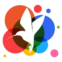 小鸟壁纸免费版