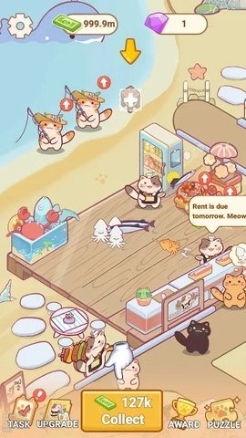 猫咪美食海摊(1)