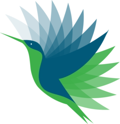 野火直播电视版