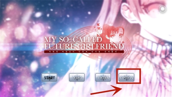 未来女友安装包下载