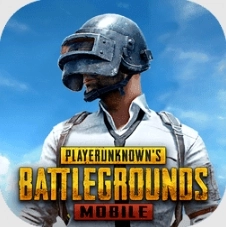 pubg版