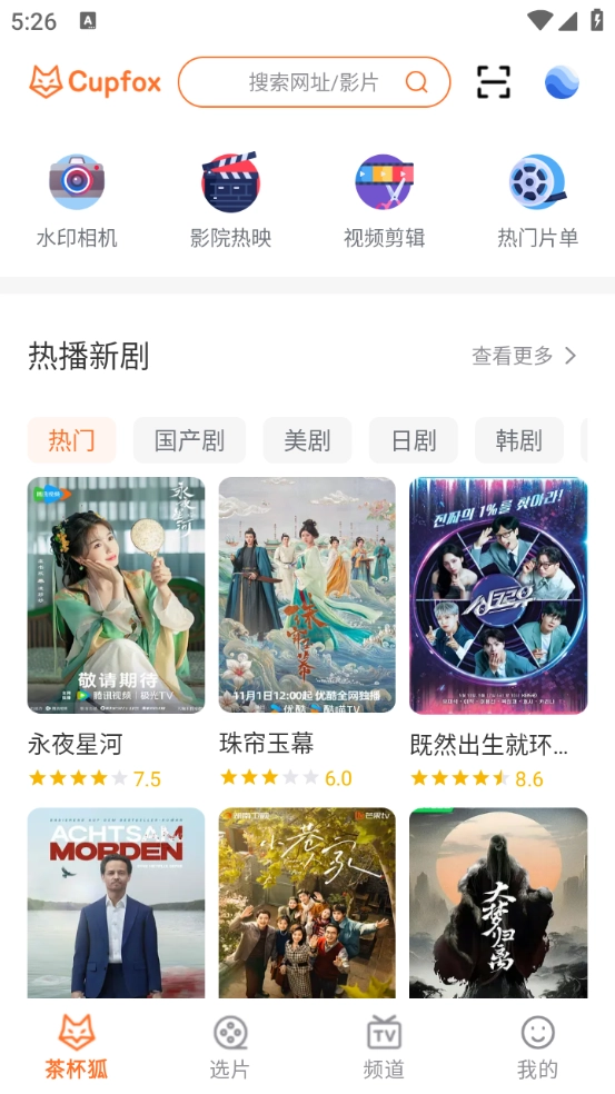 茶杯狐cupfox-图1