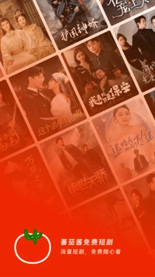 蕃茄酱免费短剧图1